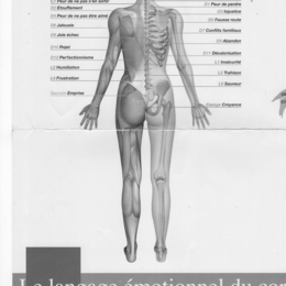 Réflexologie dorsale