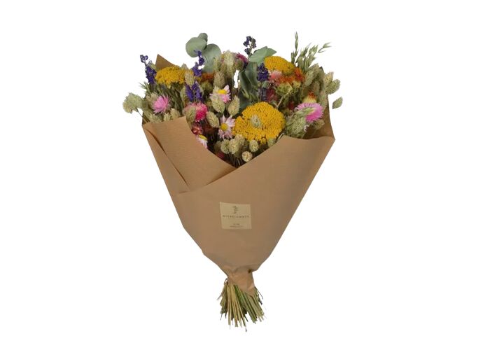 Bouquet fleurs séchées - Multi couleurs