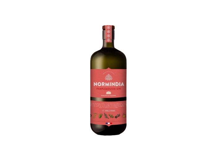 Gin pamplemousse 70cl - Normindia