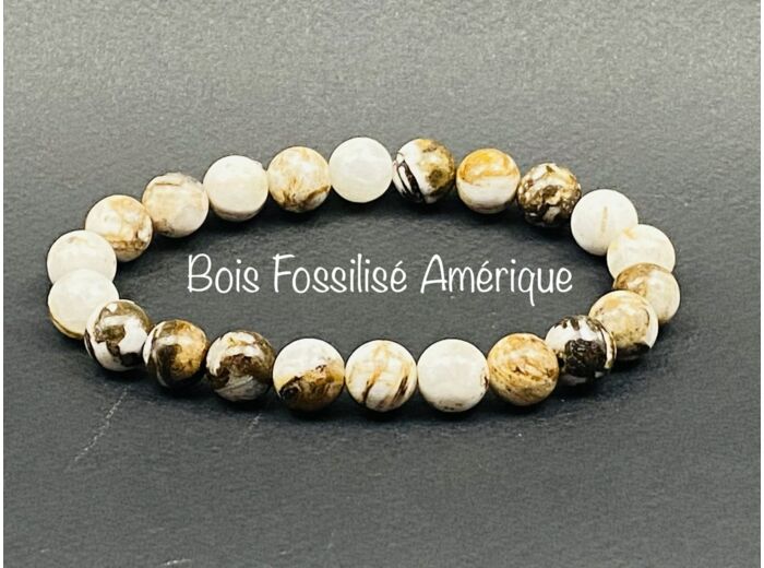 Bracelet Bois Fossilisé d'Amérique 8mm