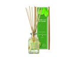 Parfumeur Quadra 100 ml (boîte) Duo Cactus & Menthe