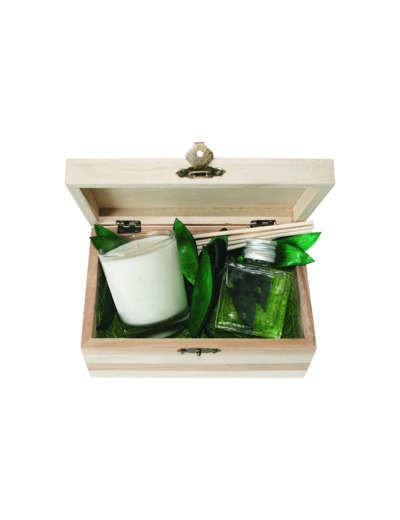 Coffret bougie 90 gr + parfumeur 50 ml Thé et Maté Vert