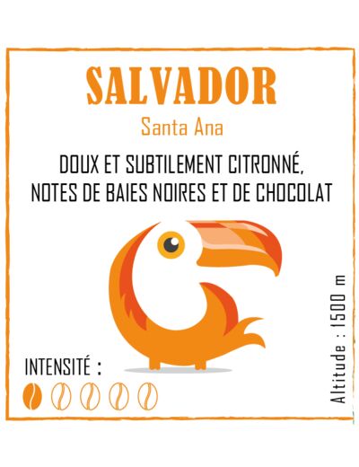 Café Salvador grains 250 grs - Brulerie des récollets