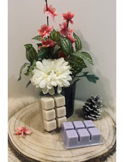 Fondant parfumé tablettes - Fruitées