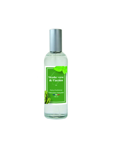 Spray d'Ambiance 100 ml Duo Cactus & Menthe