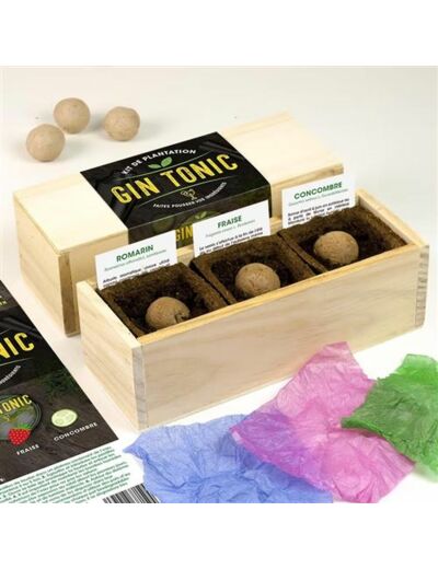 Kit Gin tonic (Romarin, fraise, concombre) - Resetea Francia