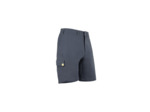 Short de randonnée Homme Ptarmigan Graphite LAGOPED