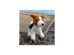 Albert Jack Russel - Jellycat