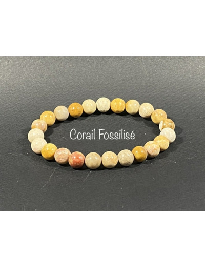 Bracelet Corail Fossilisé  8mm