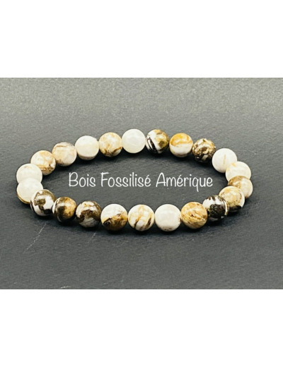 Bracelet Bois Fossilisé d'Amérique 8mm