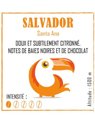 Café Salvador grains 1 kg - Brulerie des récollets