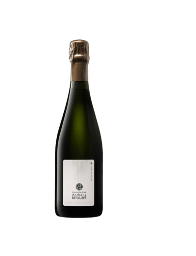 Champagne Terre de Grès Extra Brut - Champagne Anthony BETOUZET